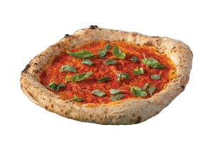 פיצה מרינרה